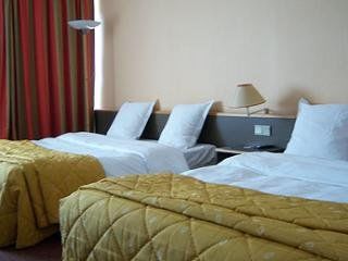 Mercure Mulhouse Sausheim 3*